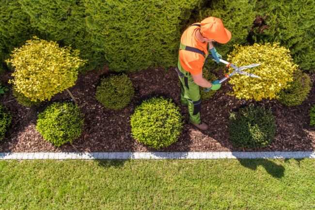 TIBINT – Landscaping 1 Landscaping Marketing